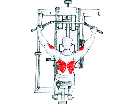 Personal Trainer :: Bhasinsoft :: Weight Training, CrossFit, Yoga, Parkour
