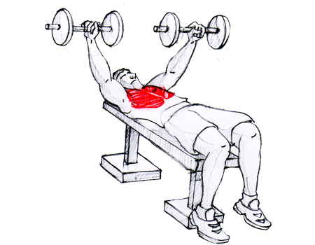 Personal Trainer Bhasinsoft Weight Training Crossfit Yoga